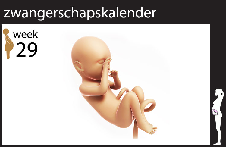 Blog header image