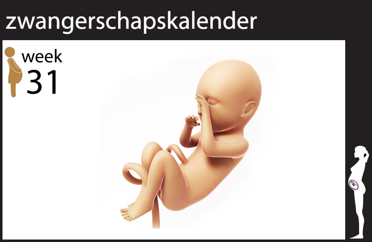 Blog header image