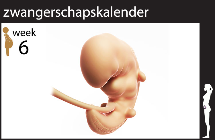 Blog header image