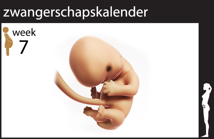 Blog header image