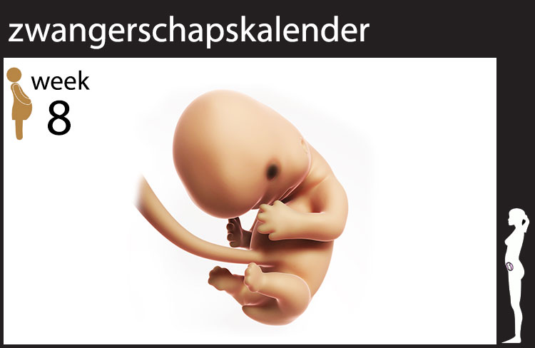 Blog header image