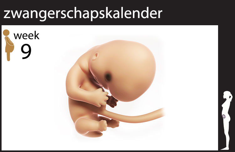 Blog header image