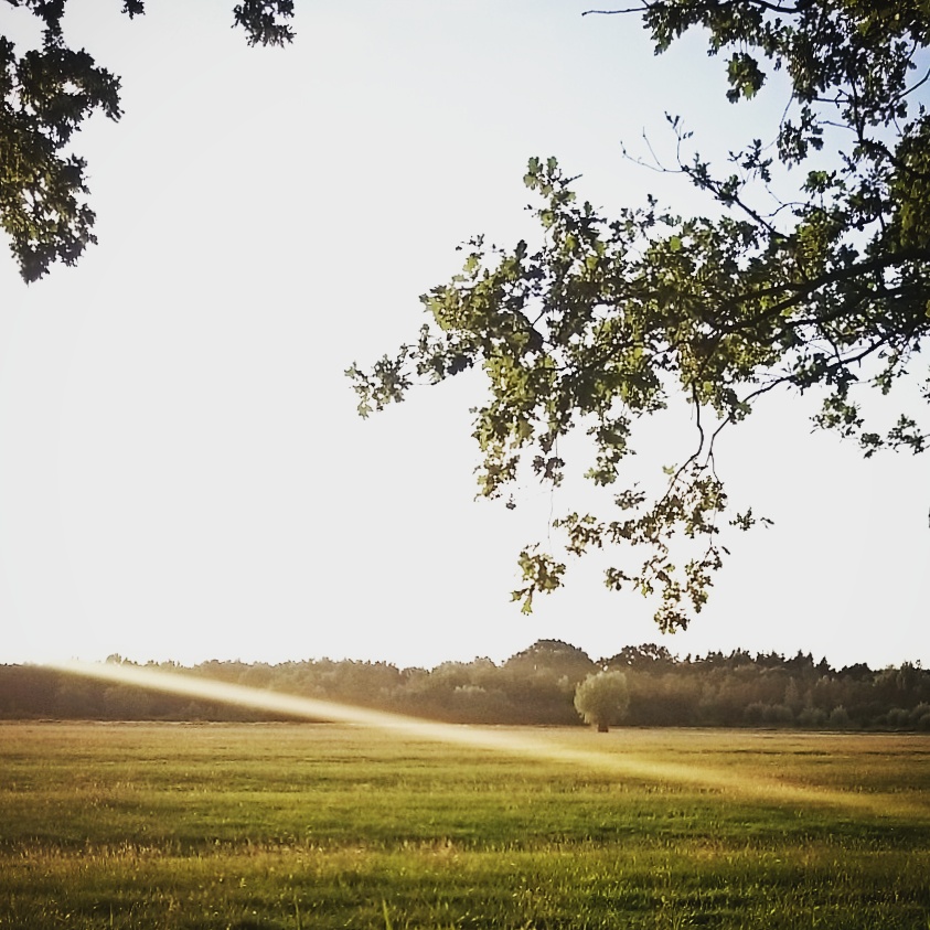 Blog header image