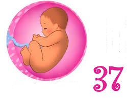 Blog header image