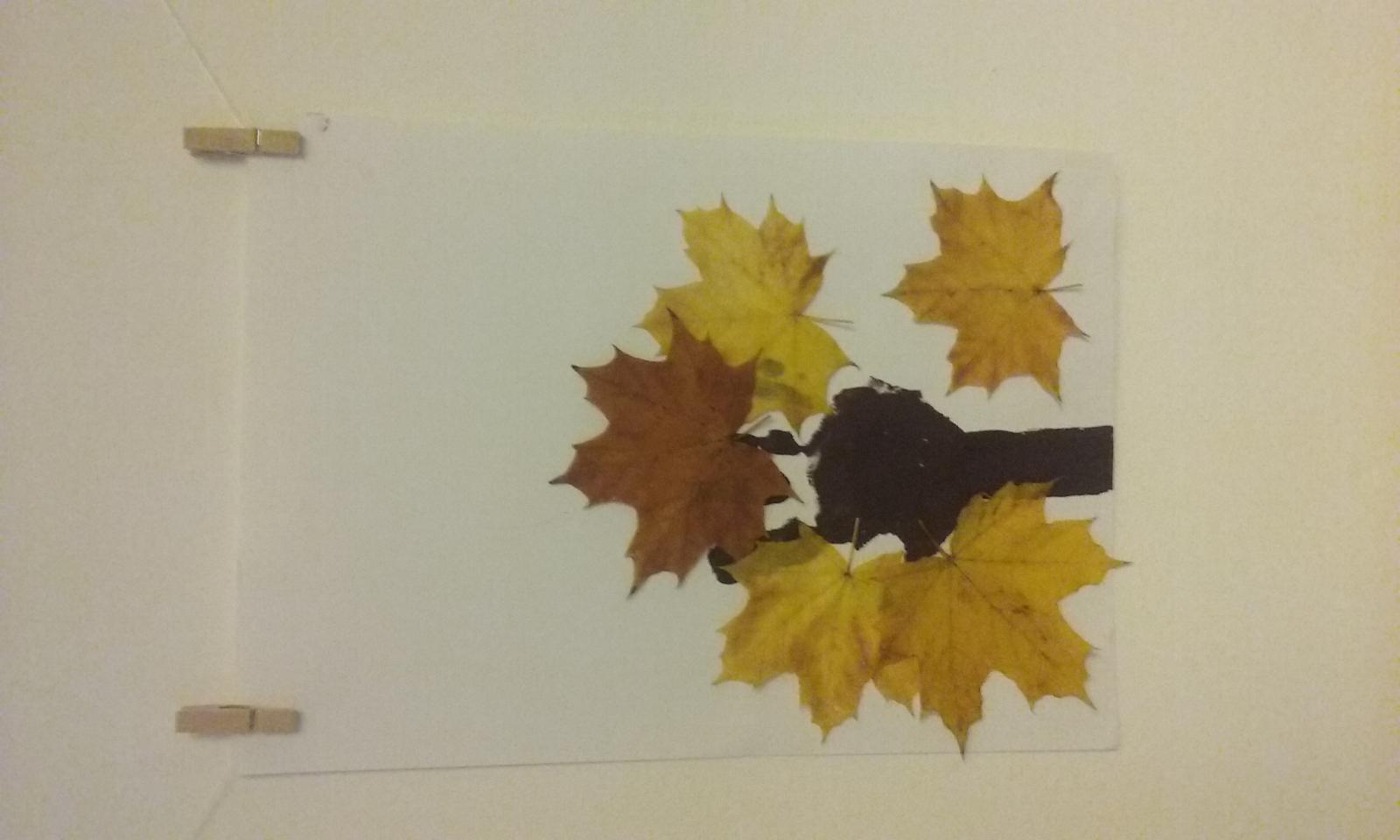 Blog header image
