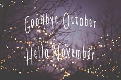 Blog header image