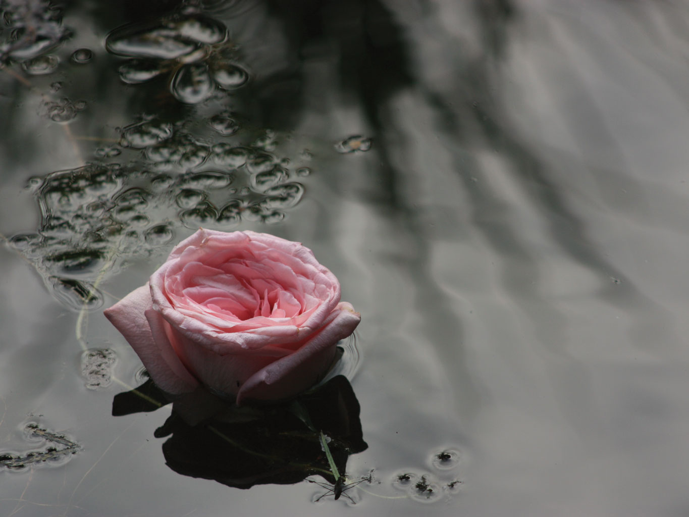 Blog header image