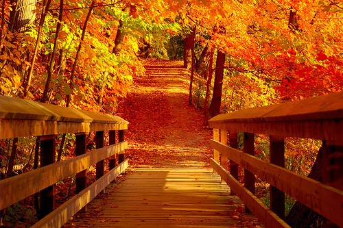 Blog header image