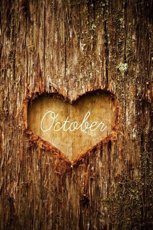 Blog header image