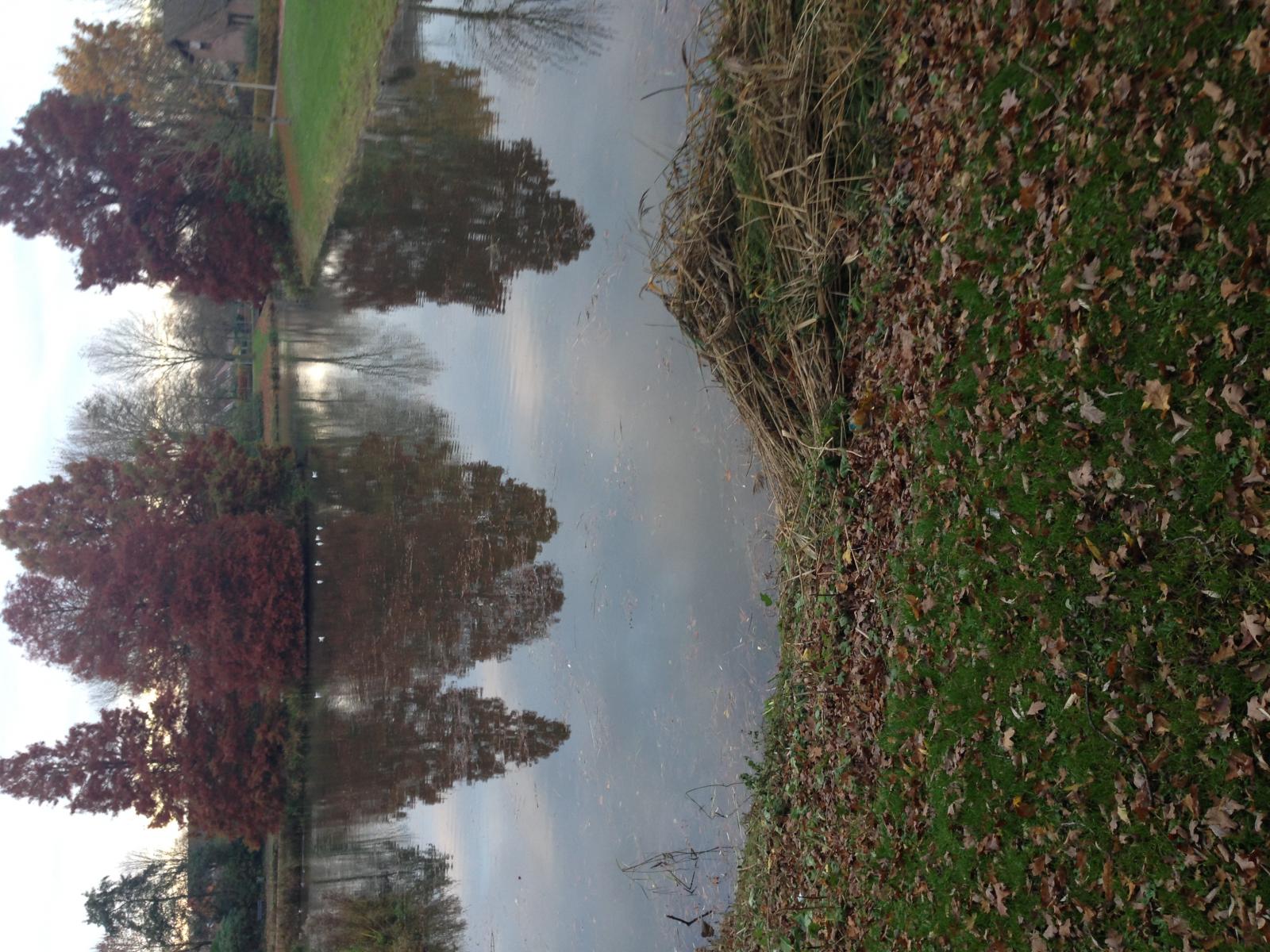 Blog header image