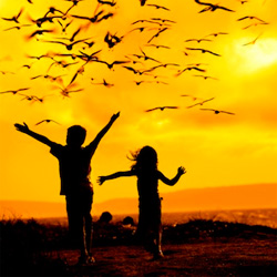 Blog header image