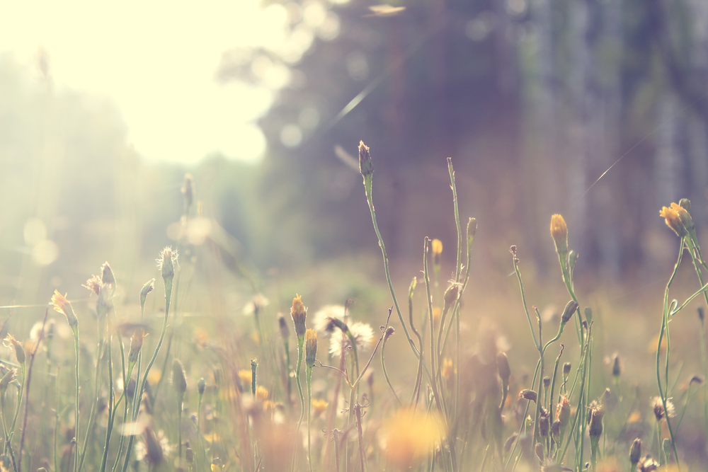 Blog header image