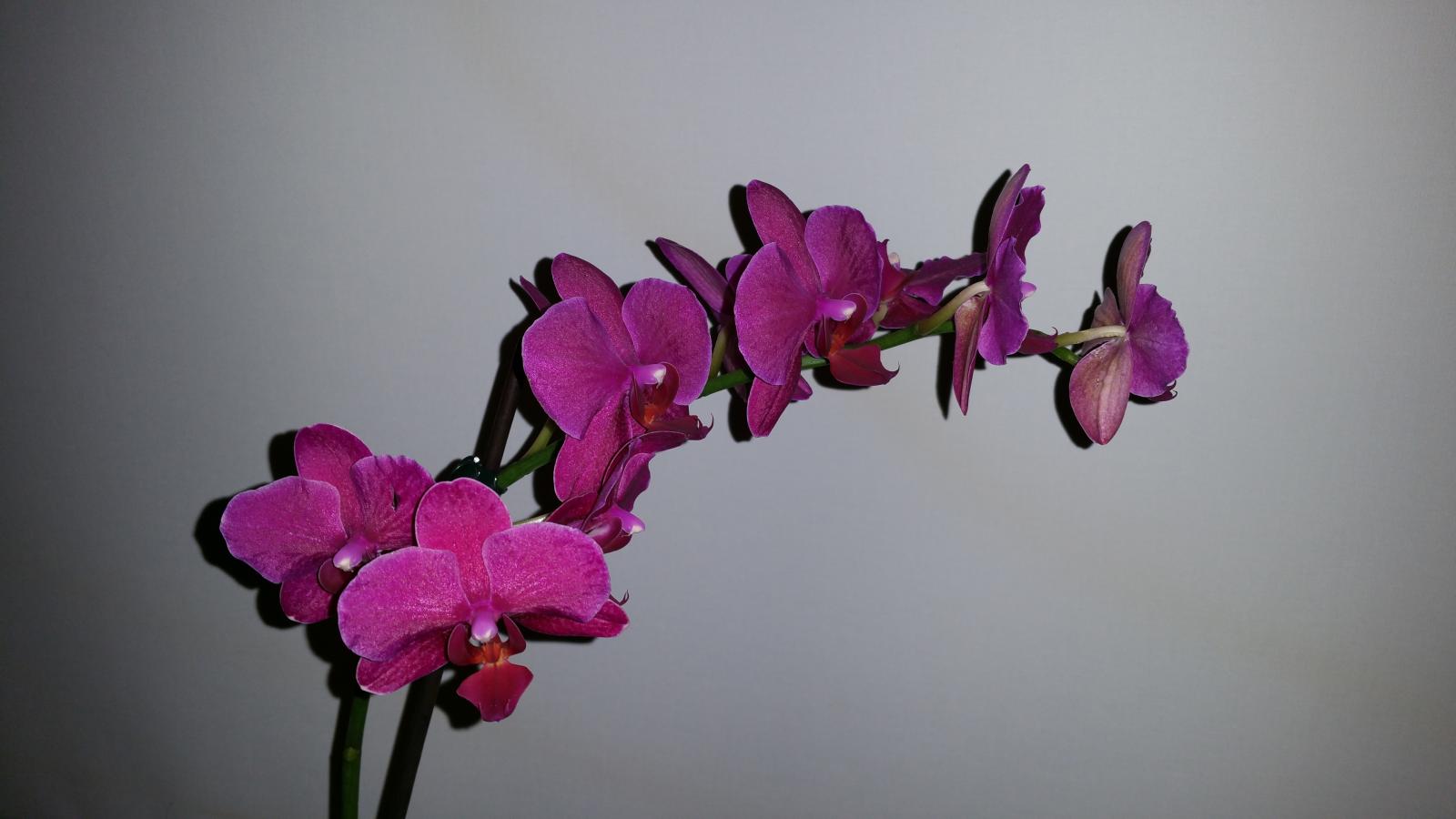 Blog header image