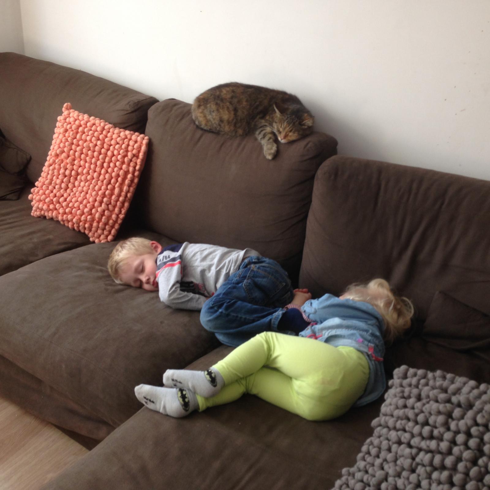 Blog header image