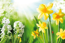 Blog header image