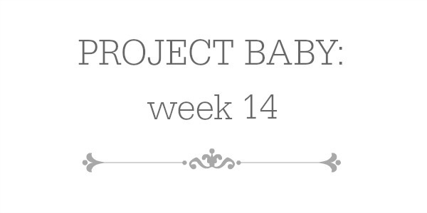 Blog header image