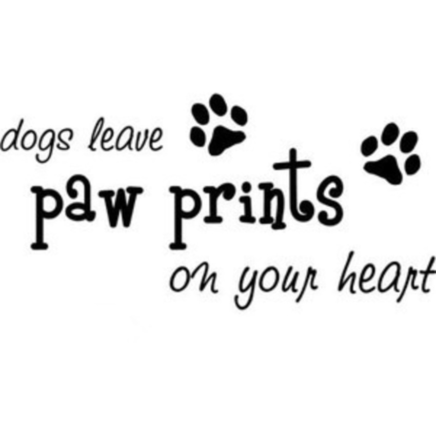 Blog header image
