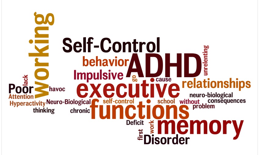 Blog header image