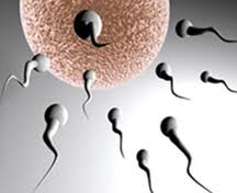 Blog header image