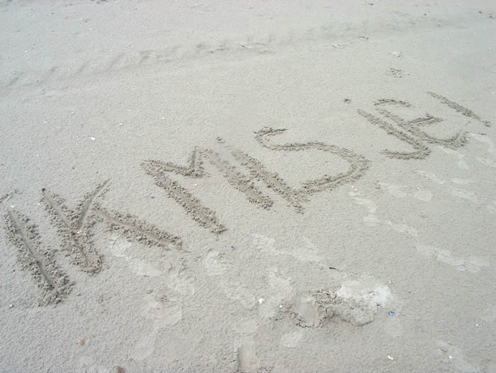 Blog header image
