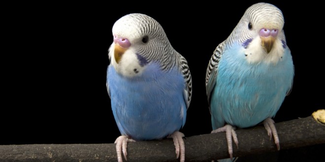 Blog header image