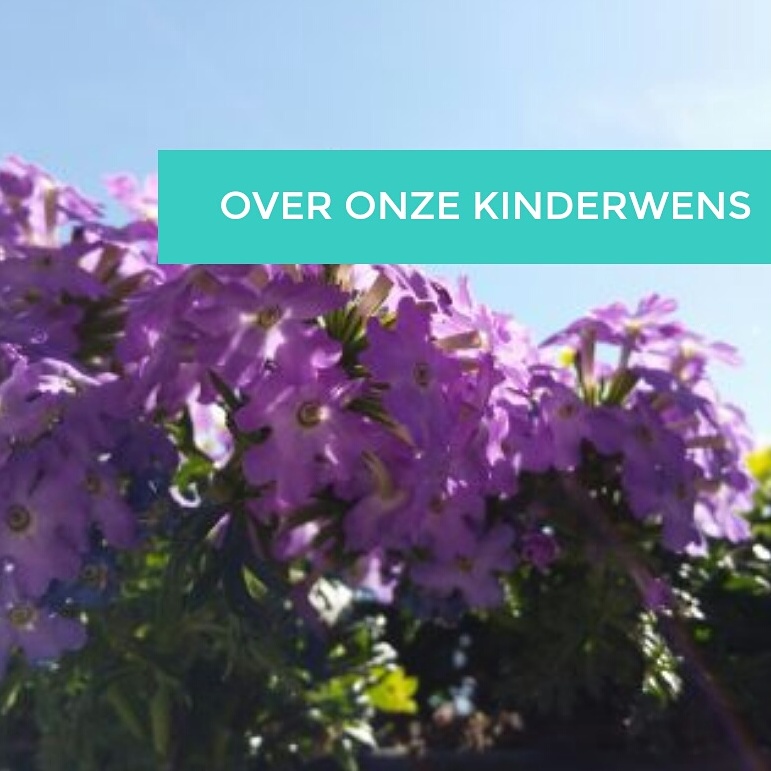 Blog header image