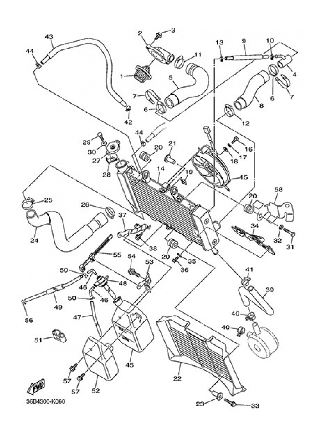 RADIATOR AND HOSE Yamaha XJ6 ABS 2013