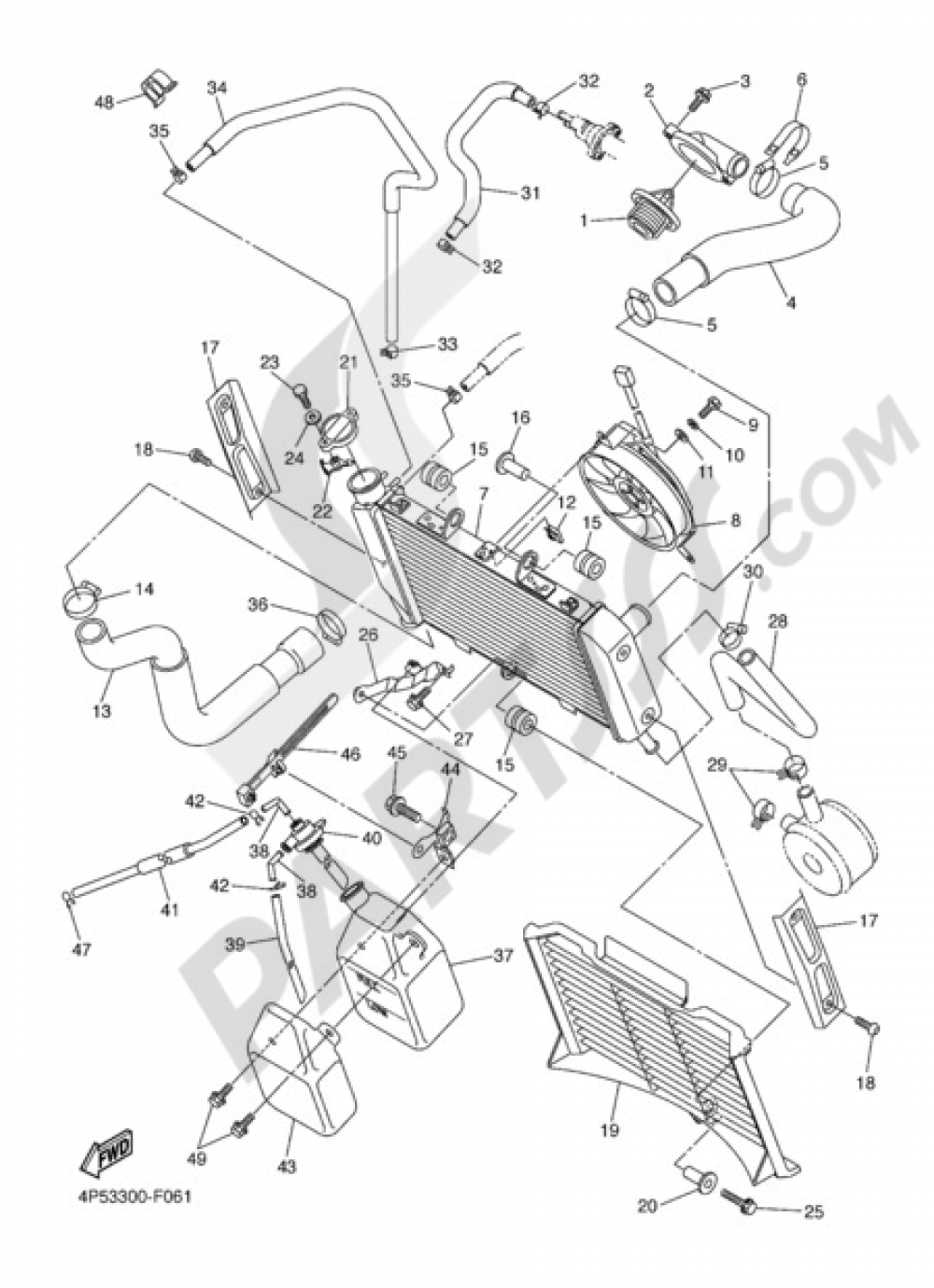 RADIATOR AND HOSE Yamaha FZ6 Fazer S2 ABS 2008