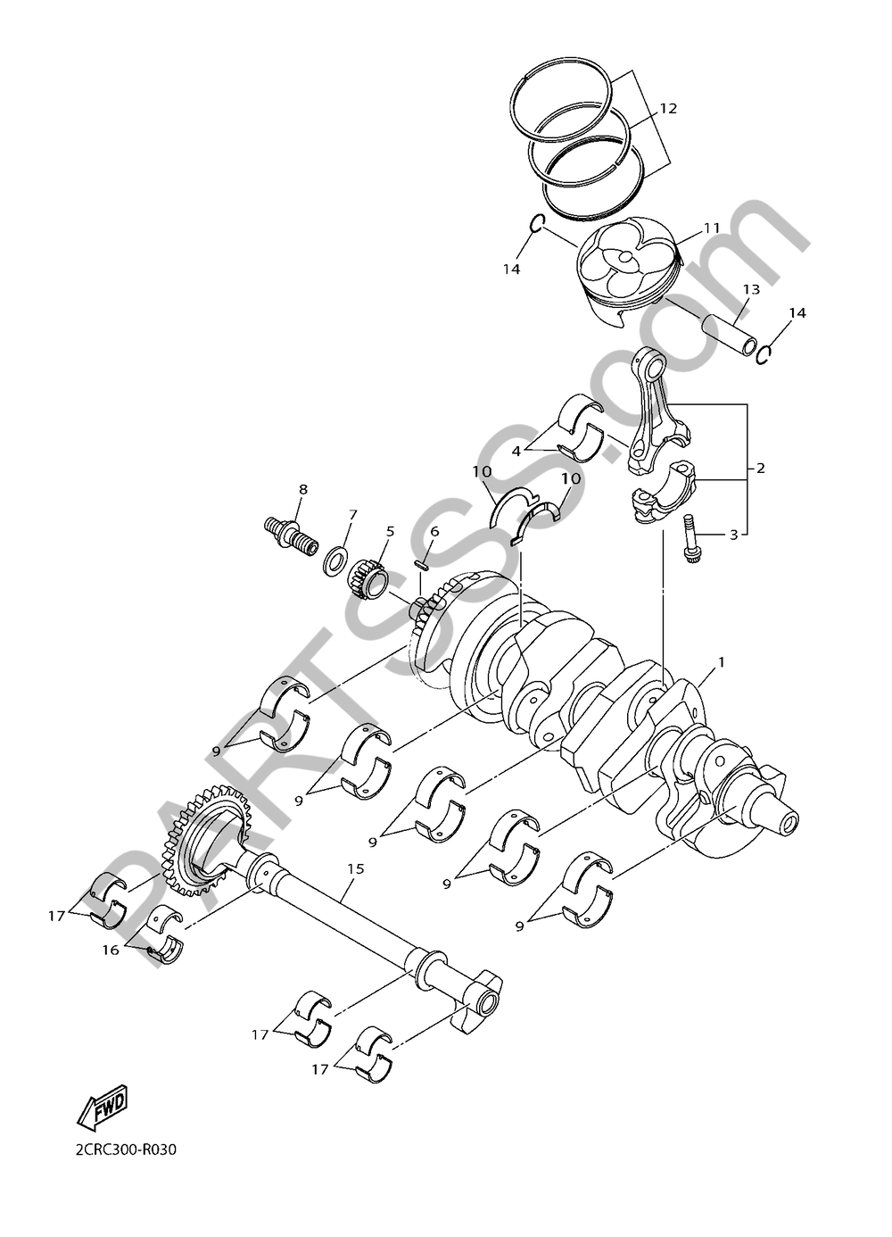 CIGUENAL & PISTON Yamaha YZF-R1 2017
