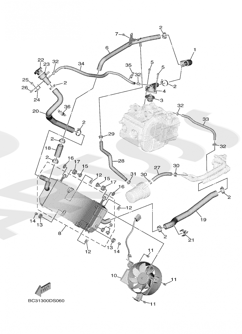 RADIATOR & HOSE Yamaha T-MAX 530 SX ABS 2019