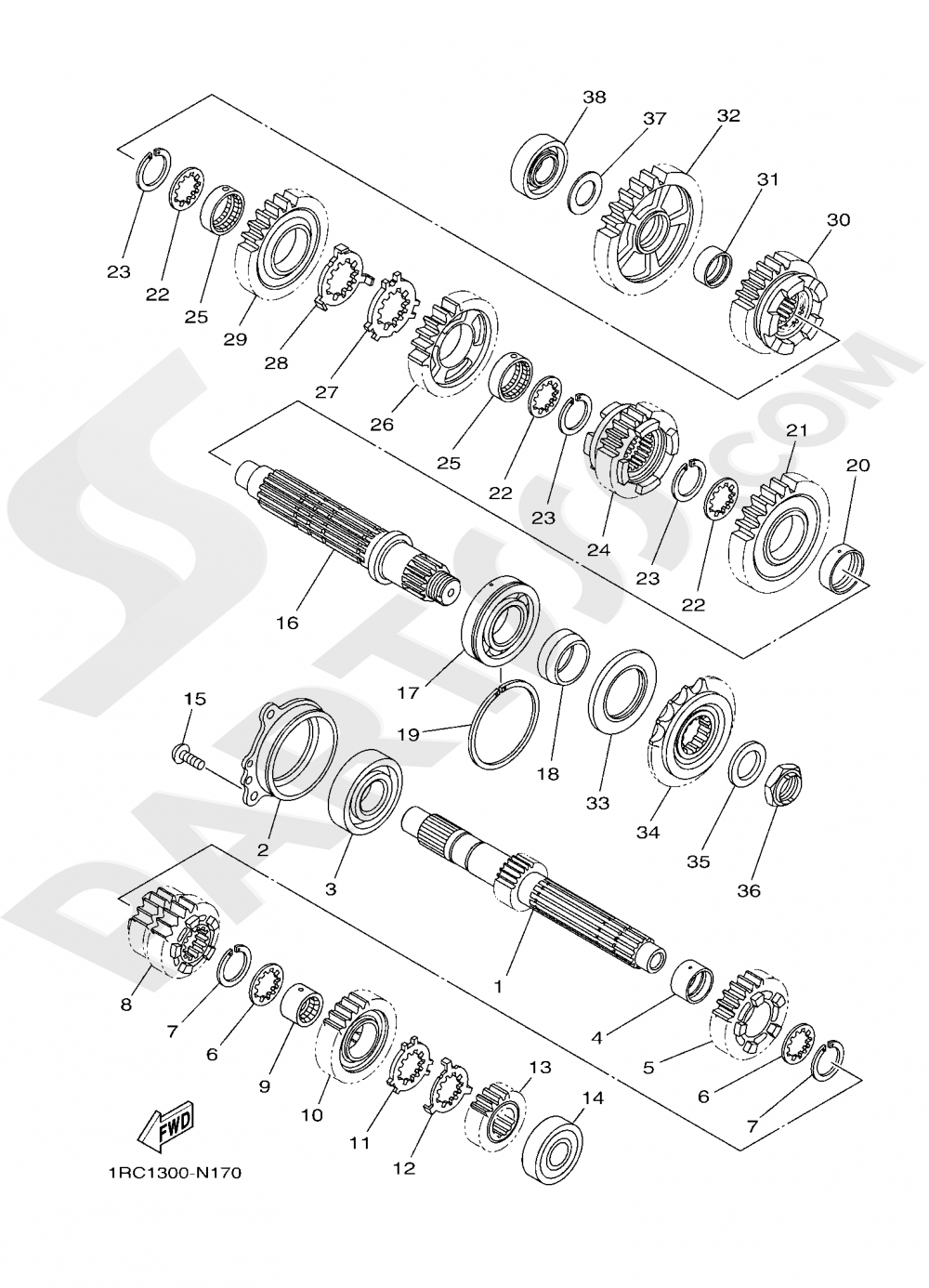 TRANSMISSION Yamaha XSR900 2019