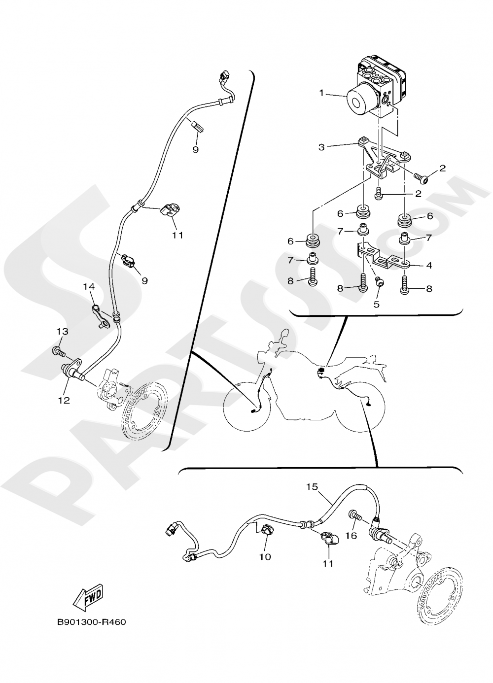 ELECTRICAL 3 Yamaha XSR900 2019