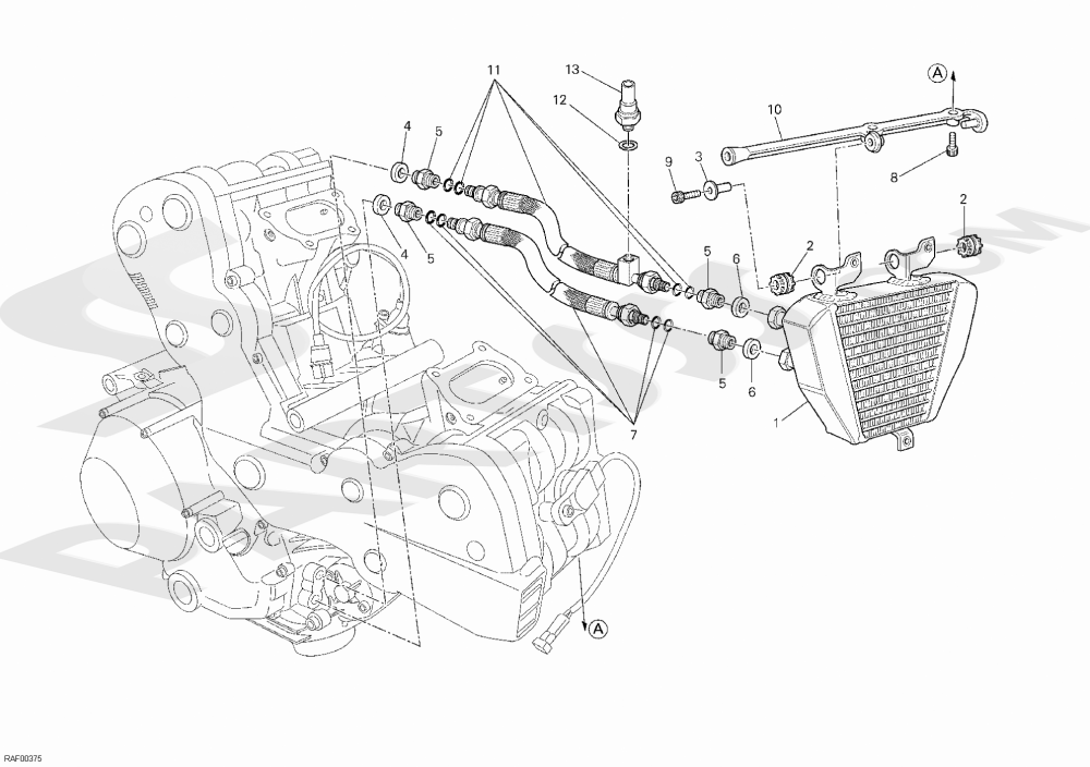 OIL COOLER [MOD:848E COR] Ducati 848 evo Corse SE 2013