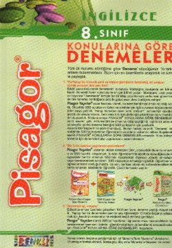 8. Sınıf İngilizce Denemeler