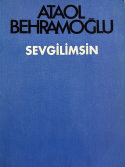 Sevgilimsin