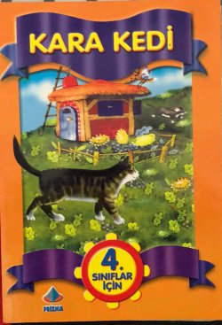 Kara Kedi