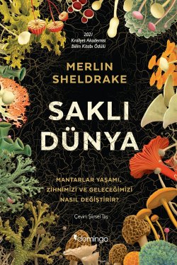 Saklı Dünya