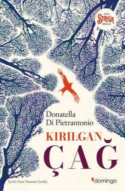 Kırılgan Çağ