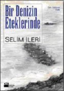 Bir Denizin Eteklerinde