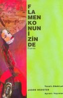 Flamenko`nun İzinde