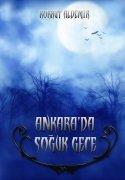 Ankara'da Soğuk Gece