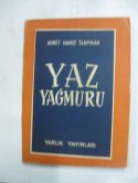 Yaz Yağmuru