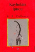 Kaybolan İpucu