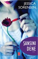 Şansını Dene (The Coincidence, #1)