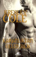 Karanlıktan Gelen İblis (Immortals After Dark, #10)