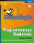 Doludizgin Programlamaya Başlamak