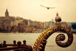 beyza23