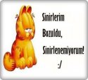 ASİLA