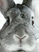 itouch