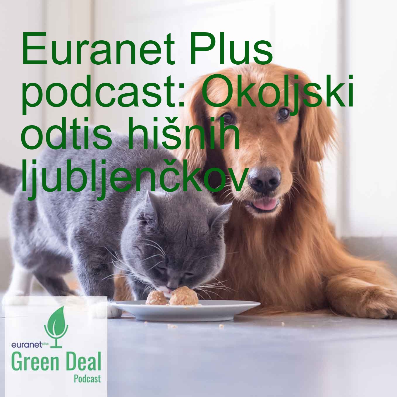 Green Deal slovenščina